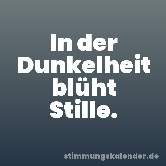 In der Dunkelheit blüht Stille.