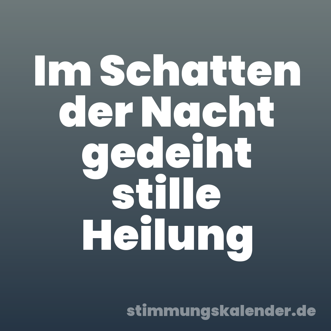 Im Schatten der Nacht gedeiht stille Heilung