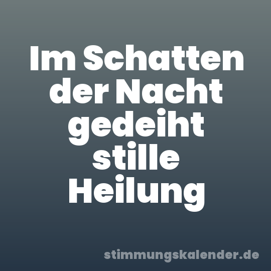 Im Schatten der Nacht gedeiht stille Heilung