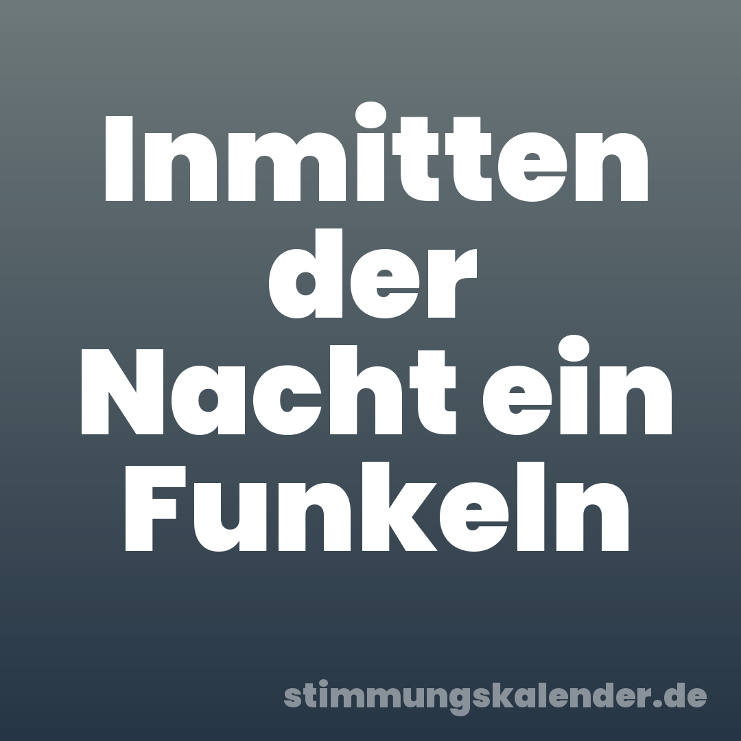 Inmitten der Nacht ein Funkeln