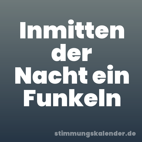 Inmitten der Nacht ein Funkeln