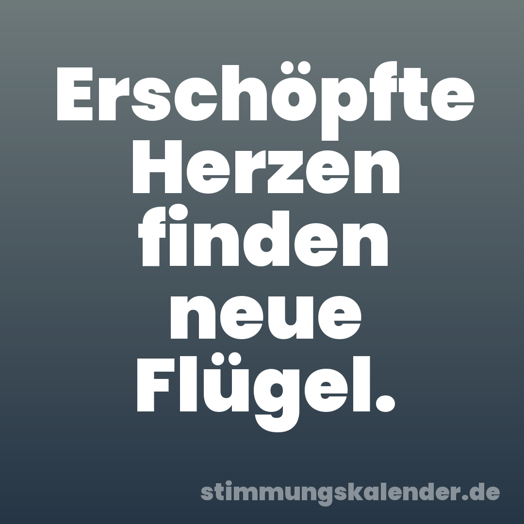 Erschöpfte Herzen finden neue Flügel.