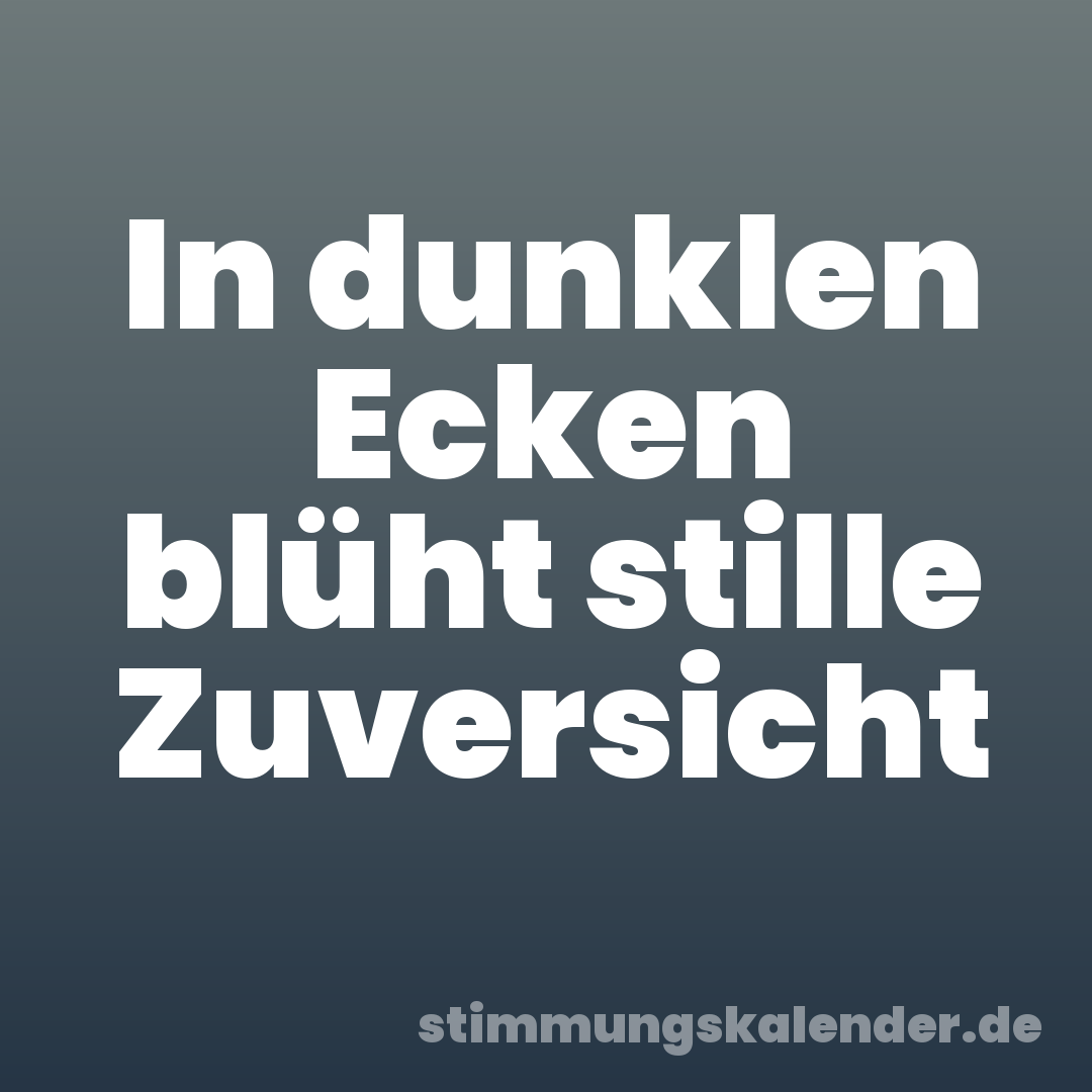 In dunklen Ecken blüht stille Zuversicht