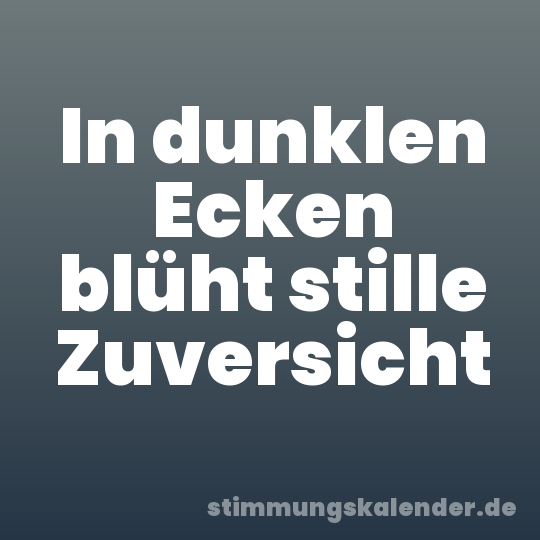 In dunklen Ecken blüht stille Zuversicht