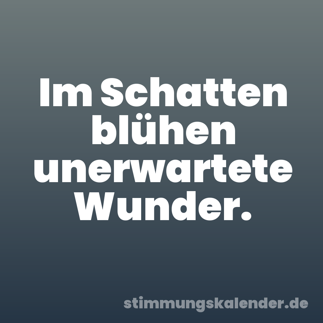 Im Schatten blühen unerwartete Wunder.