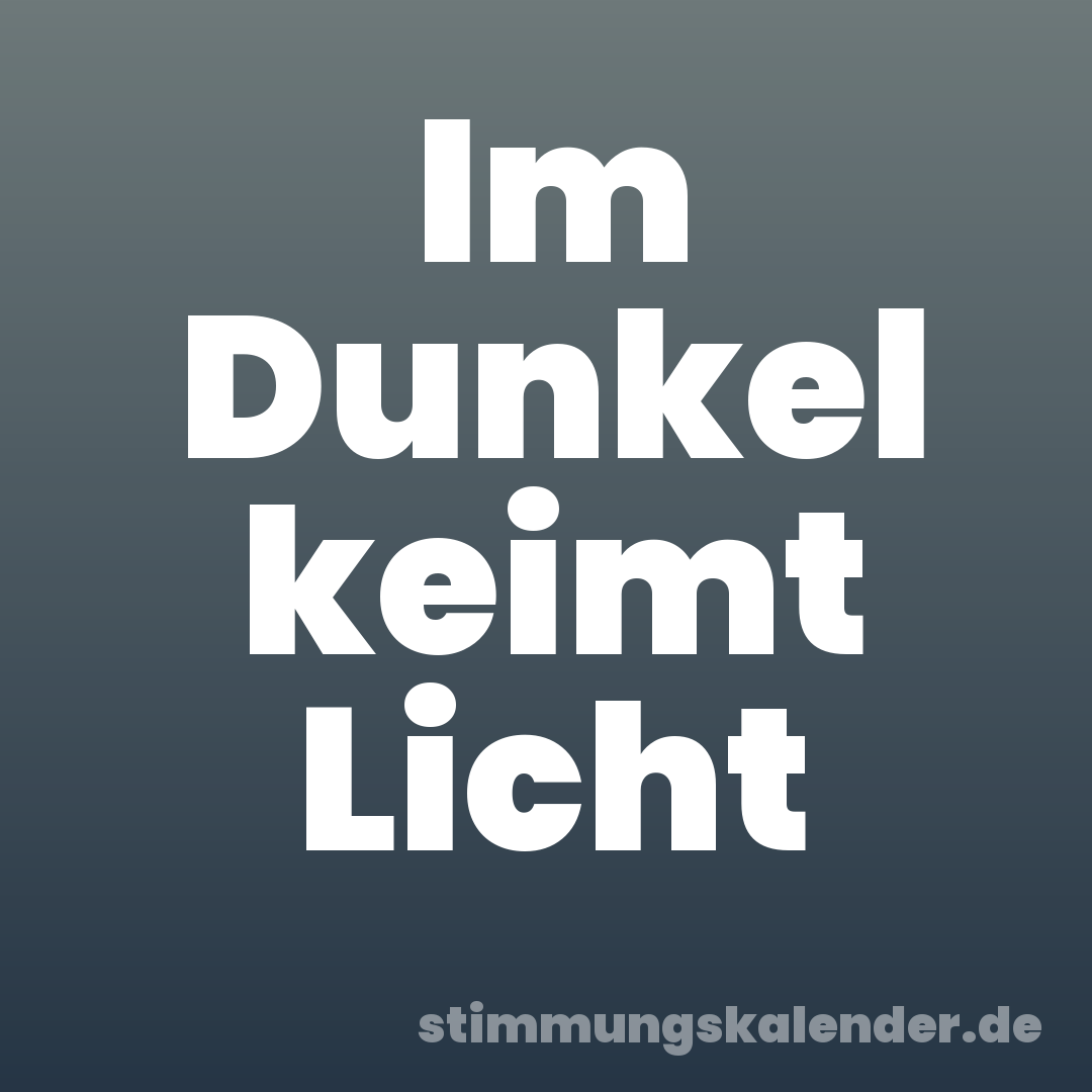 Im Dunkel keimt Licht