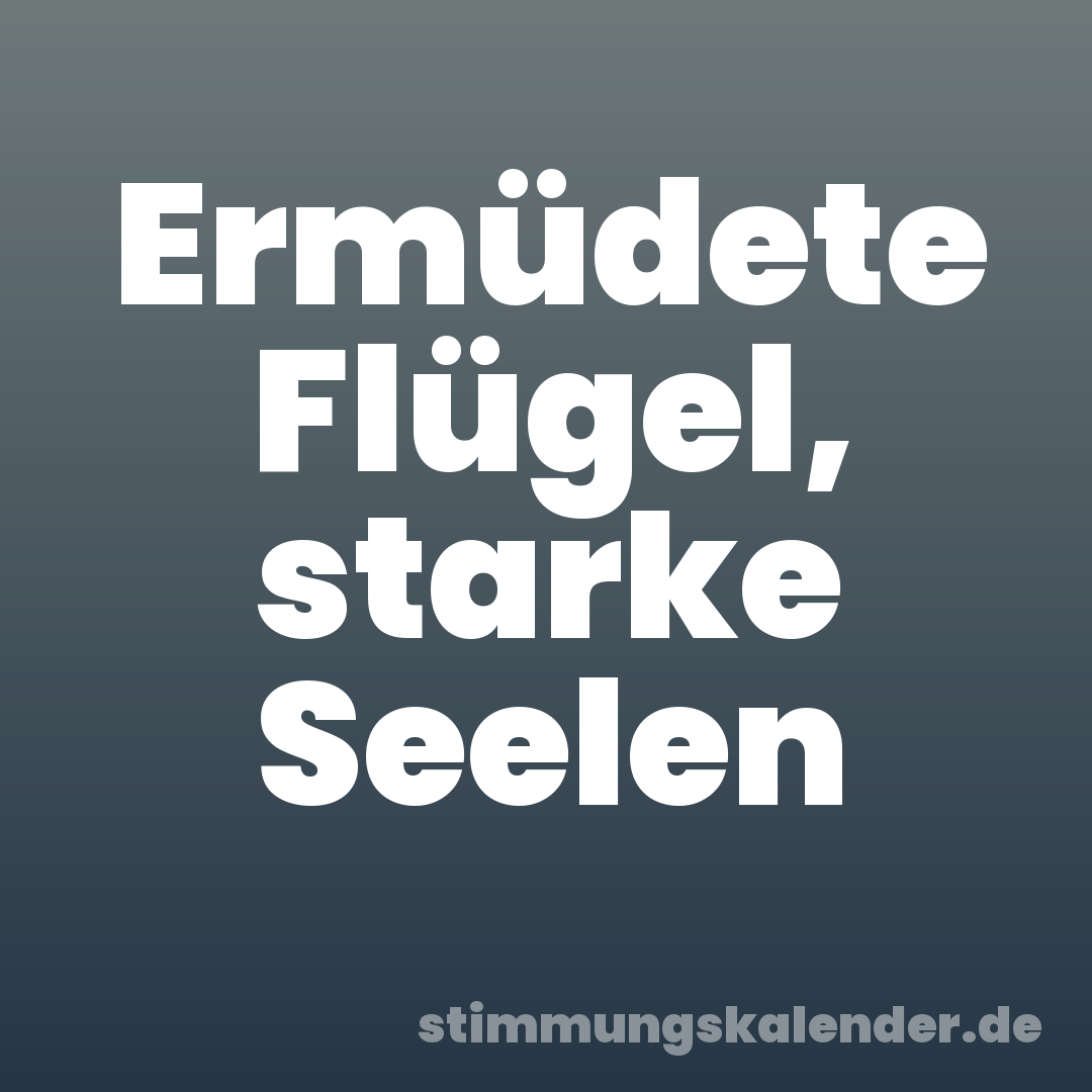 Ermüdete Flügel, starke Seelen