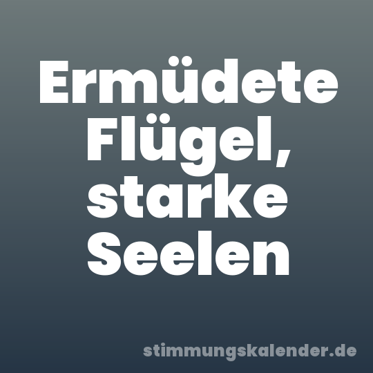 Ermüdete Flügel, starke Seelen