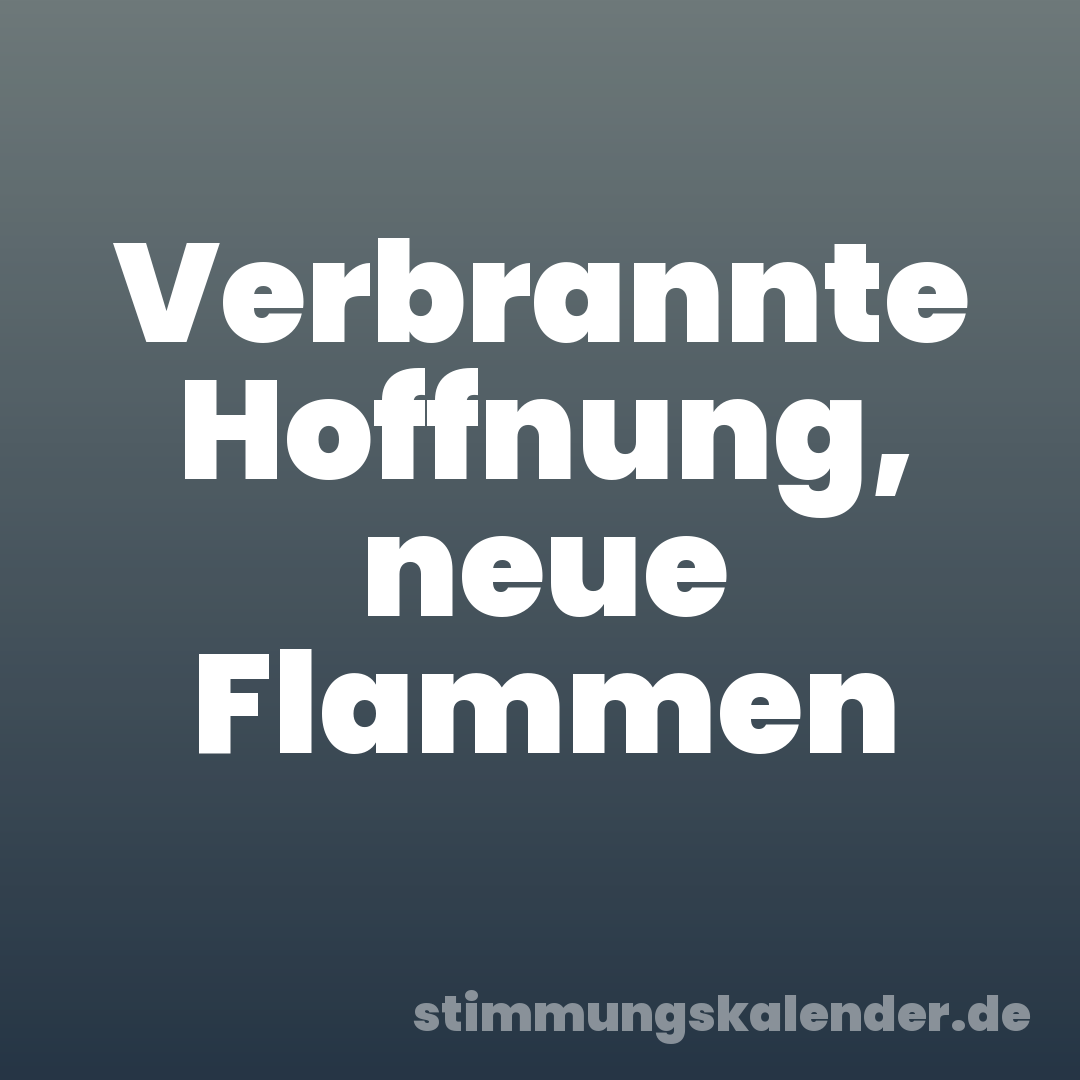 Verbrannte Hoffnung, neue Flammen