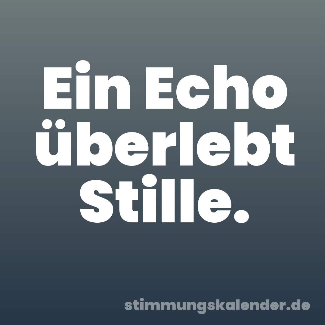 Ein Echo überlebt Stille.