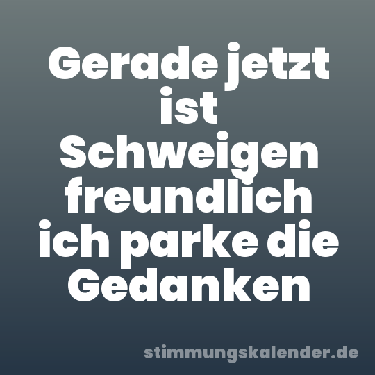 Gerade jetzt ist Schweigen freundlich ich parke die Gedanken