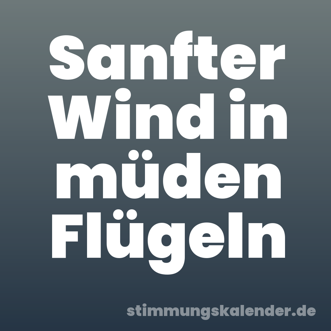 Sanfter Wind in müden Flügeln
