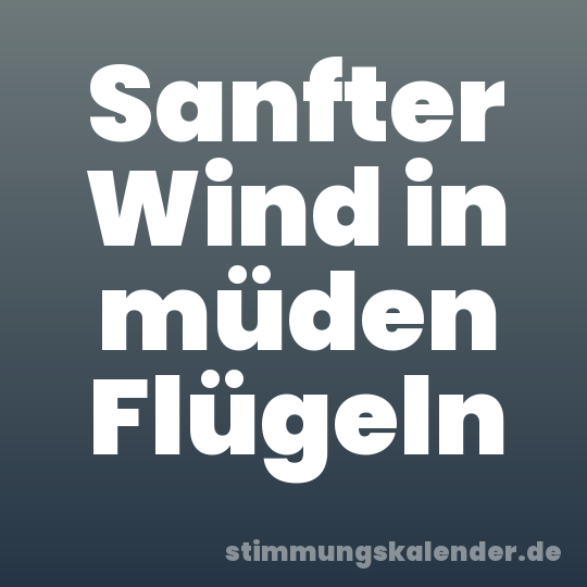 Sanfter Wind in müden Flügeln