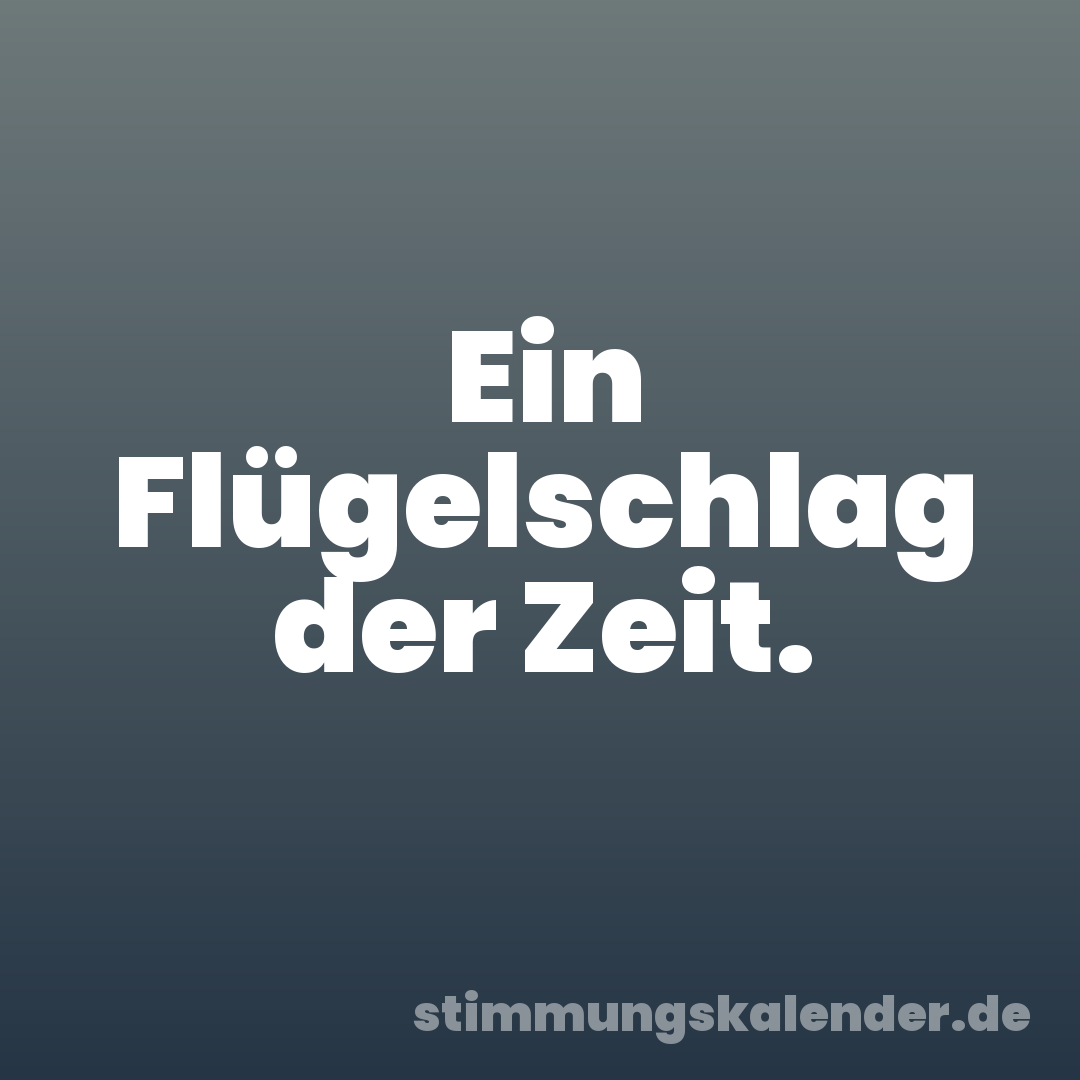 Ein Flügelschlag der Zeit.
