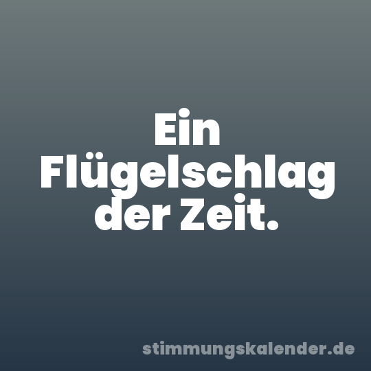 Ein Flügelschlag der Zeit.