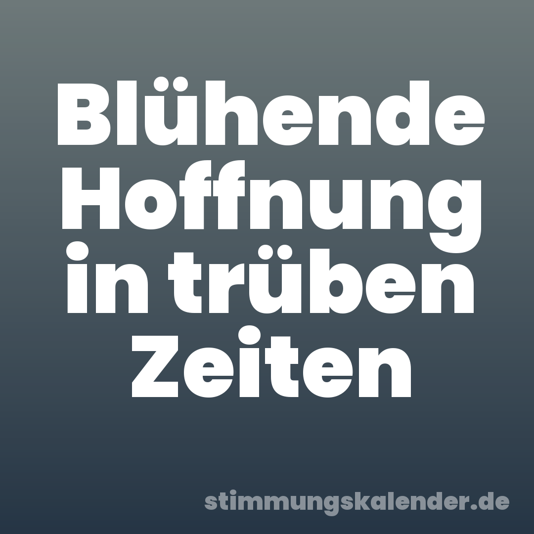 Blühende Hoffnung in trüben Zeiten