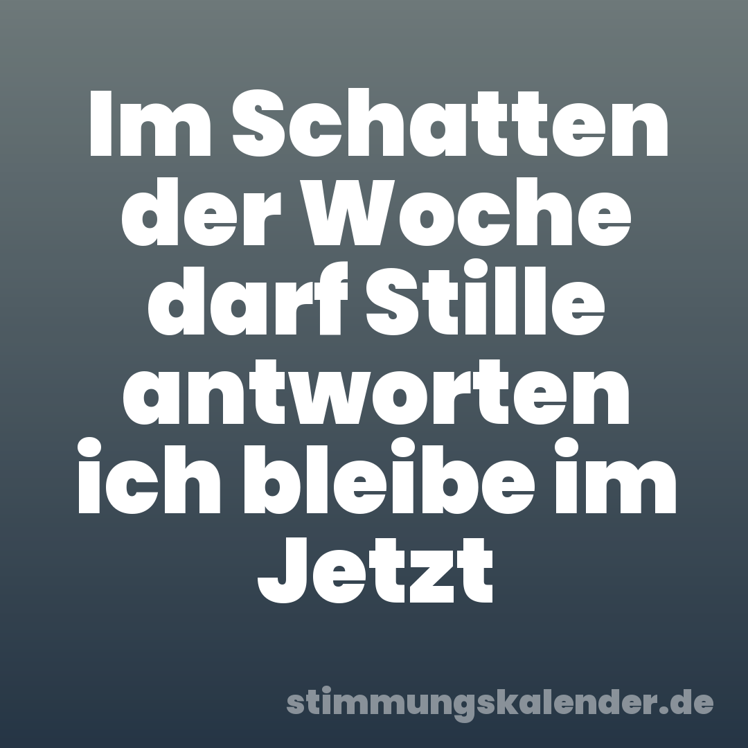 Im Schatten der Woche darf Stille antworten ich bleibe im Jetzt