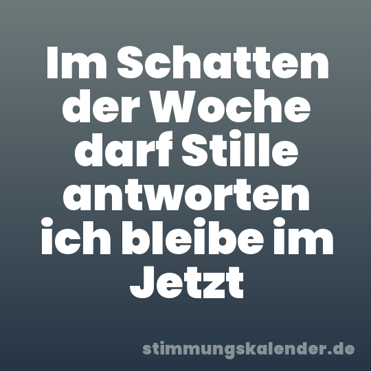 Im Schatten der Woche darf Stille antworten ich bleibe im Jetzt
