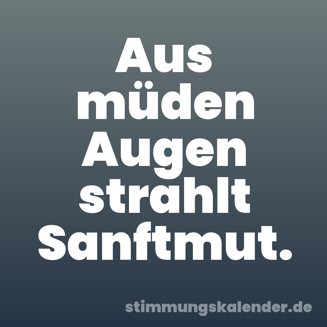 Aus müden Augen strahlt Sanftmut.