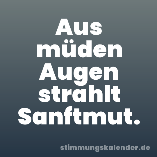 Aus müden Augen strahlt Sanftmut.