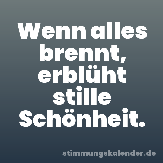 Wenn alles brennt, erblüht stille Schönheit.