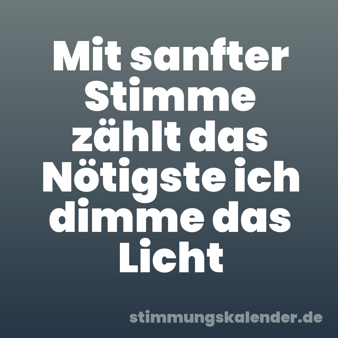 Mit sanfter Stimme zählt das Nötigste ich dimme das Licht