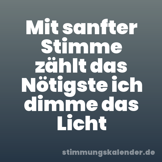 Mit sanfter Stimme zählt das Nötigste ich dimme das Licht
