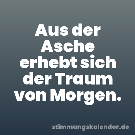 Aus der Asche erhebt sich der Traum von Morgen.