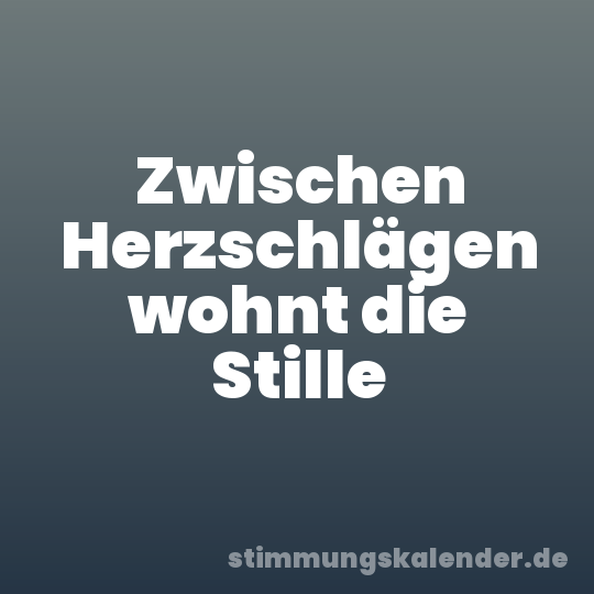 Zwischen Herzschlägen wohnt die Stille