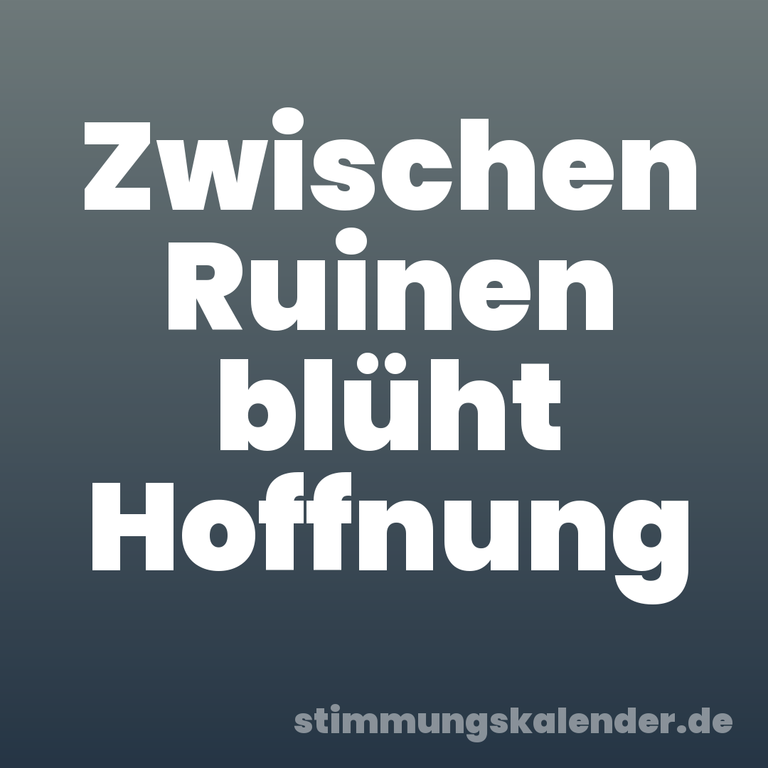 Zwischen Ruinen blüht Hoffnung