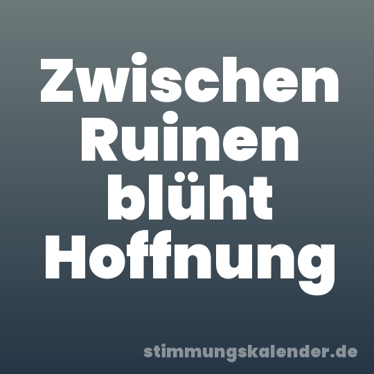Zwischen Ruinen blüht Hoffnung