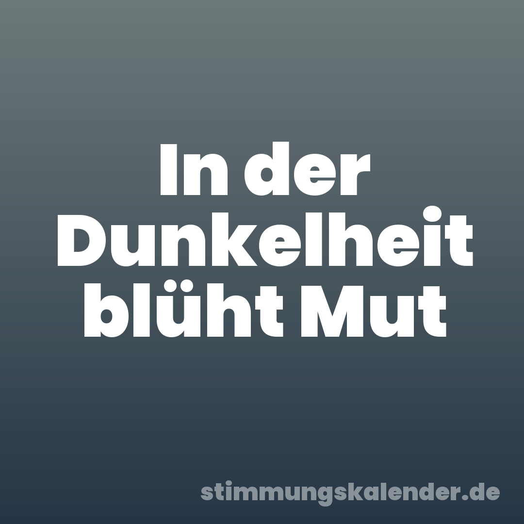 In der Dunkelheit blüht Mut