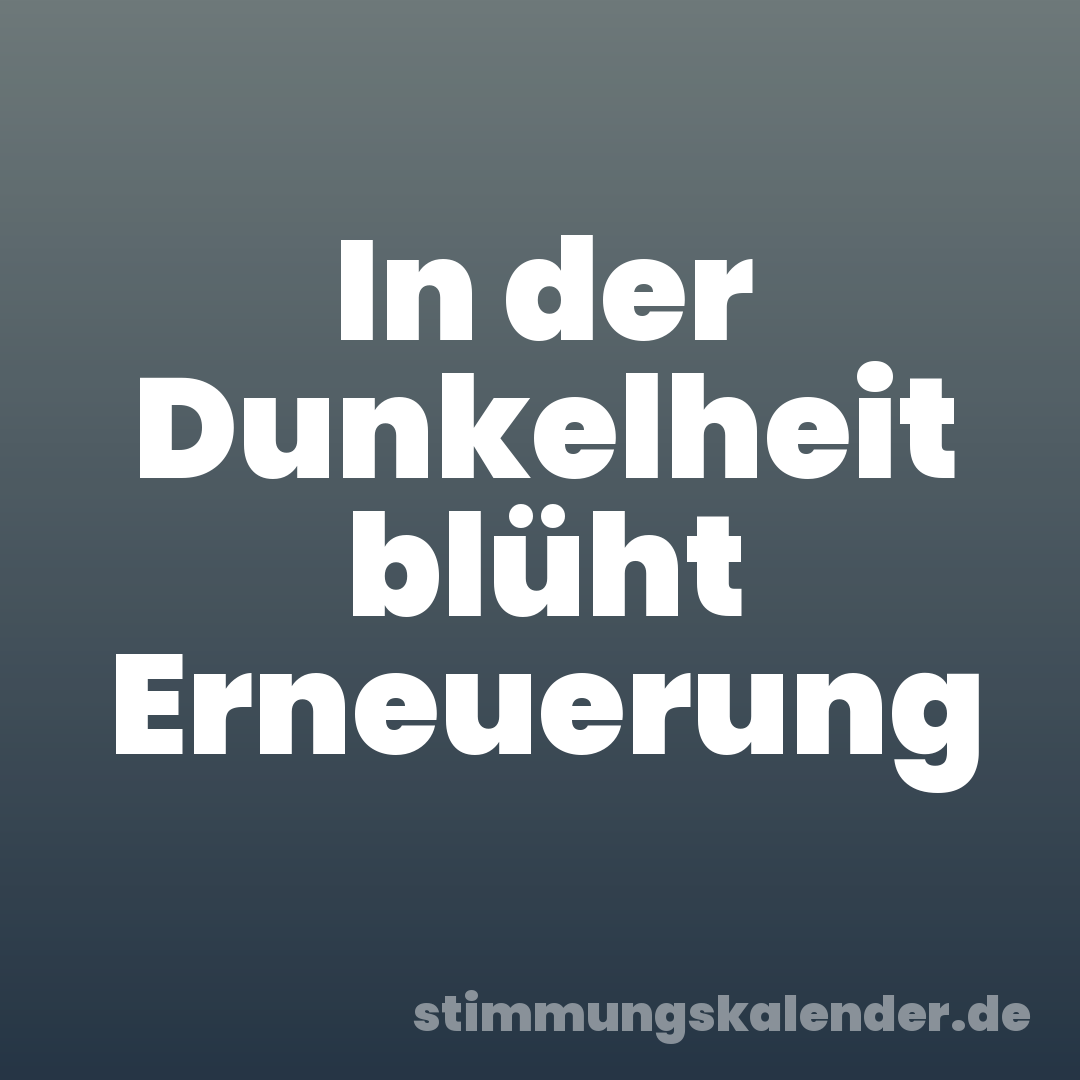 In der Dunkelheit blüht Erneuerung