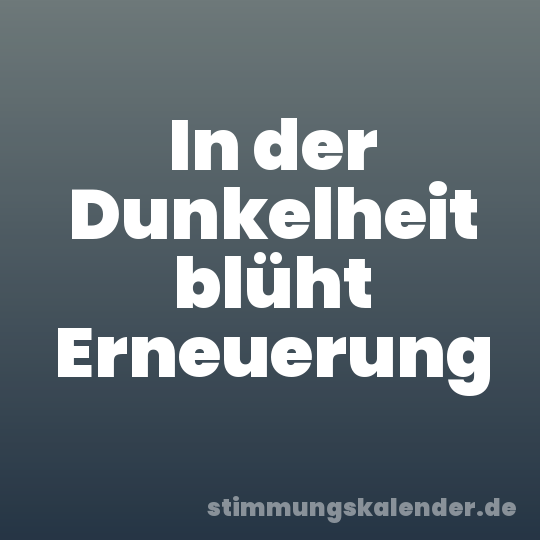 In der Dunkelheit blüht Erneuerung