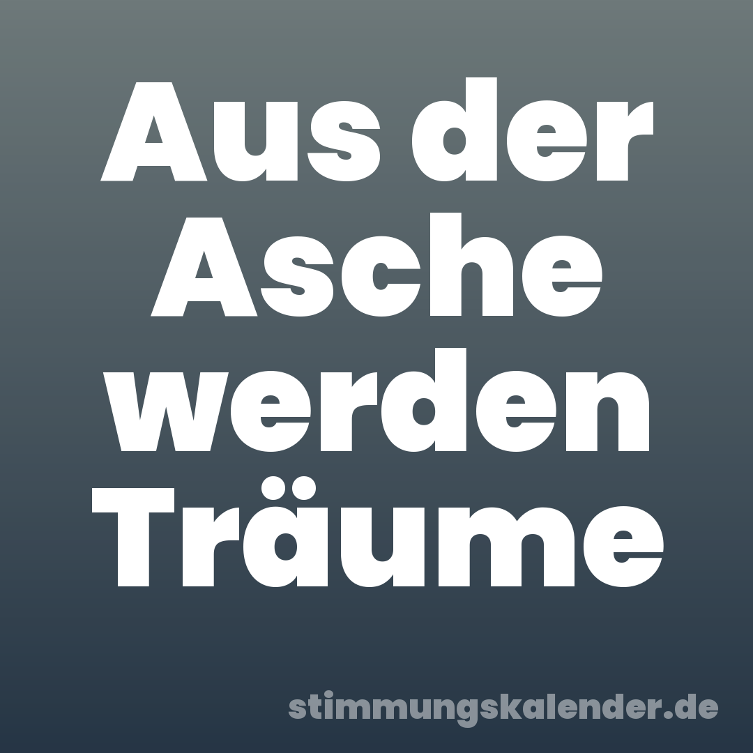 Aus der Asche werden Träume