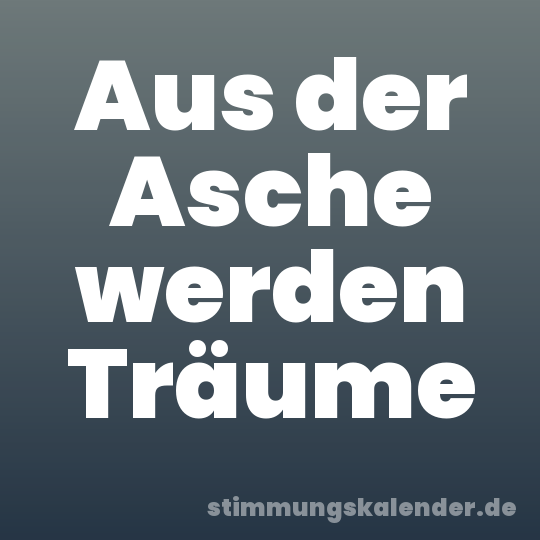 Aus der Asche werden Träume