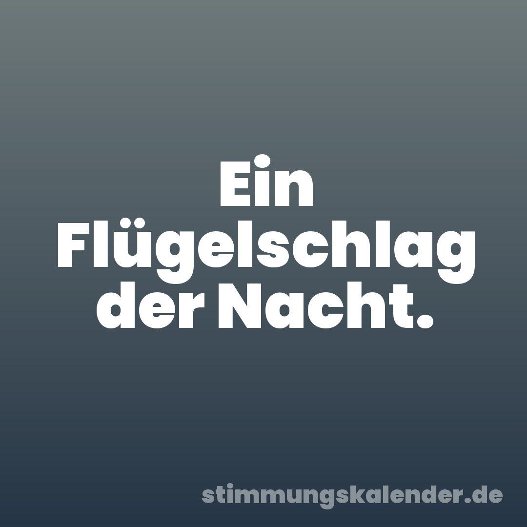 Ein Flügelschlag der Nacht.