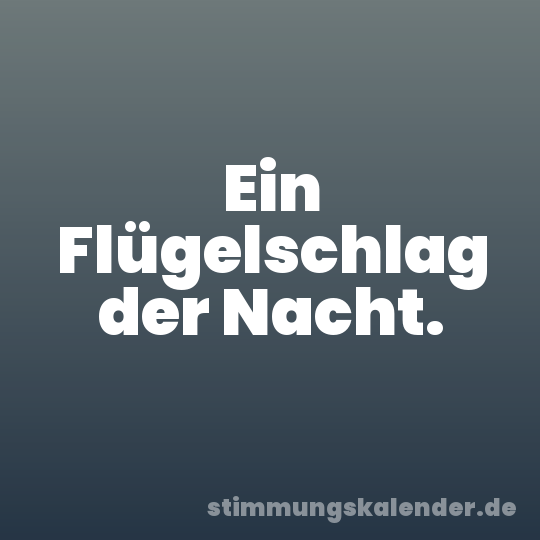 Ein Flügelschlag der Nacht.