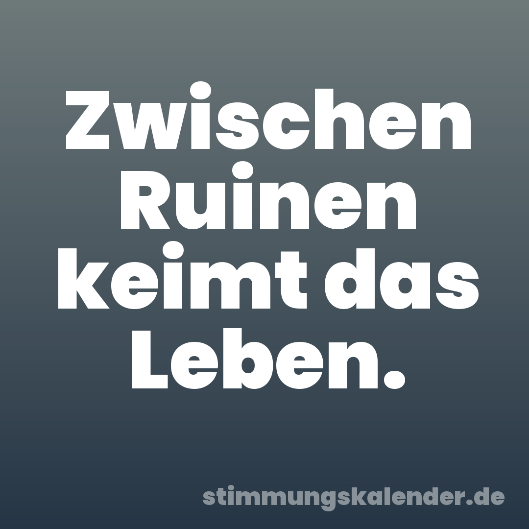 Zwischen Ruinen keimt das Leben.