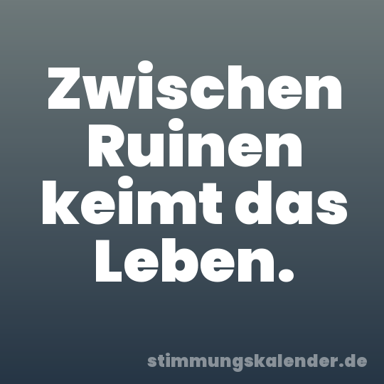 Zwischen Ruinen keimt das Leben.
