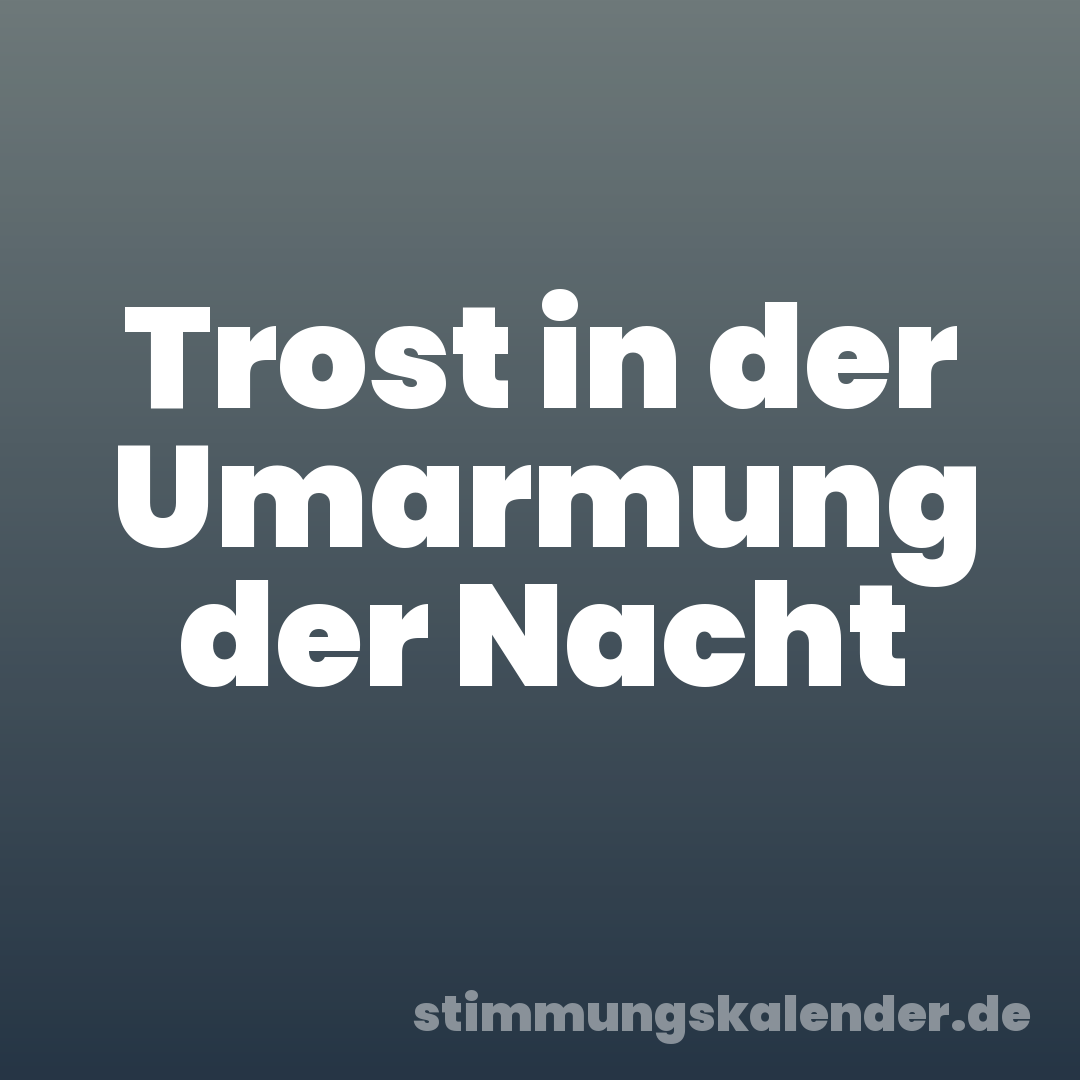 Trost in der Umarmung der Nacht