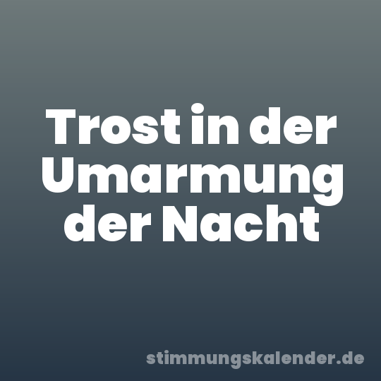Trost in der Umarmung der Nacht