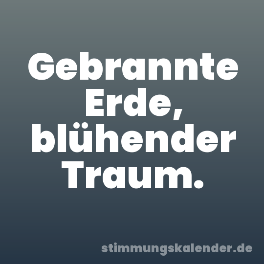 Gebrannte Erde, blühender Traum.