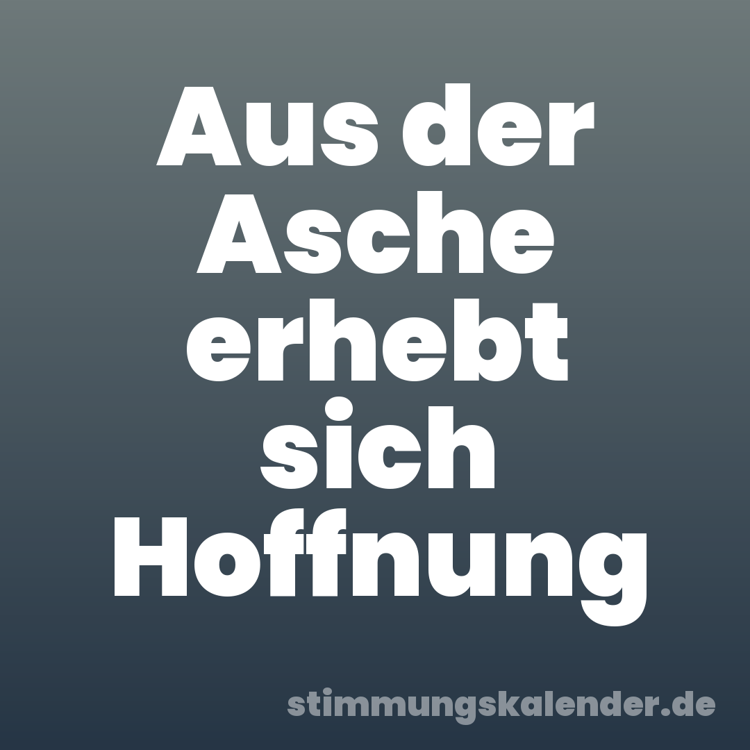 Aus der Asche erhebt sich Hoffnung