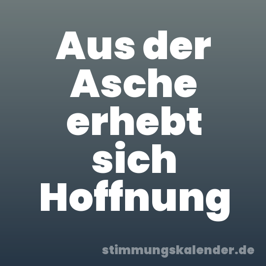 Aus der Asche erhebt sich Hoffnung