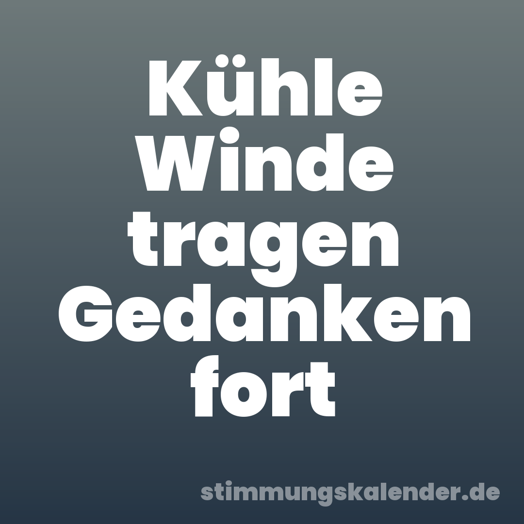 Kühle Winde tragen Gedanken fort