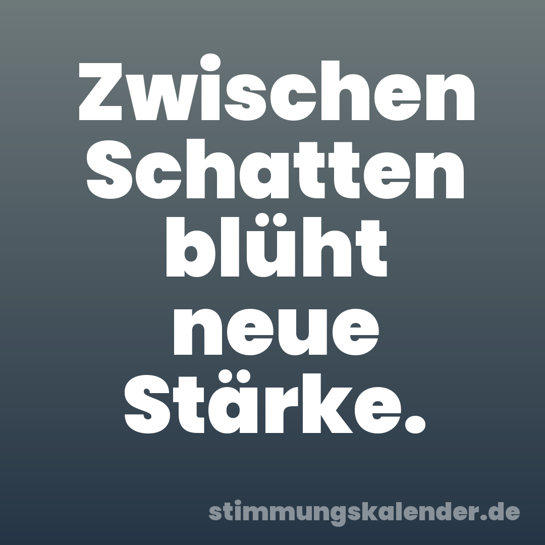 Zwischen Schatten blüht neue Stärke.
