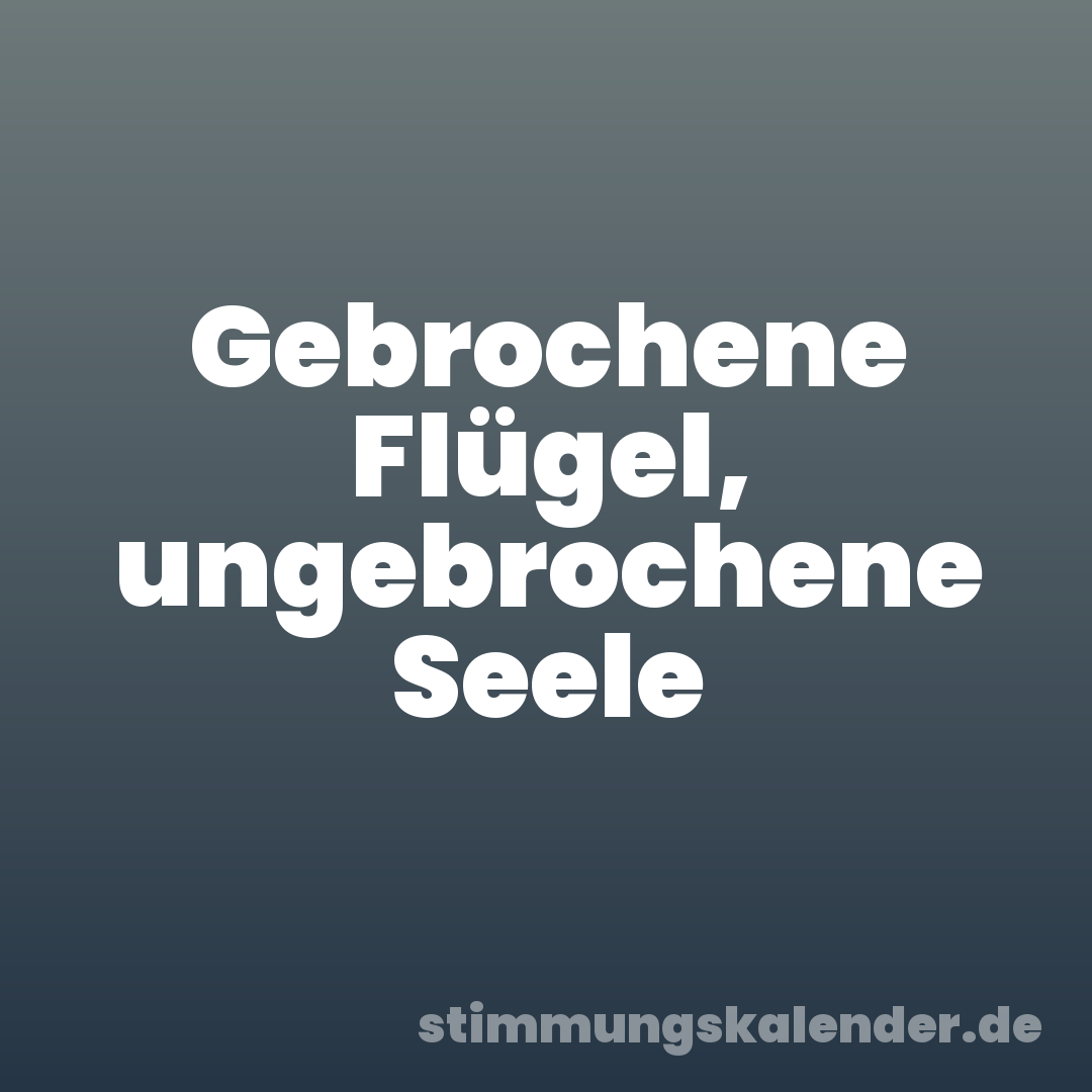 Gebrochene Flügel, ungebrochene Seele