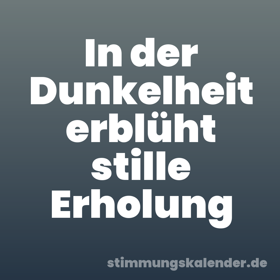 In der Dunkelheit erblüht stille Erholung