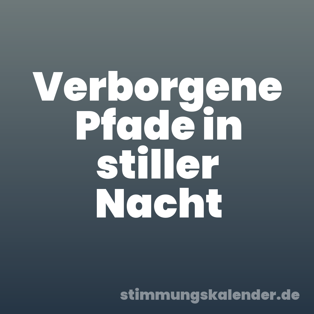 Verborgene Pfade in stiller Nacht